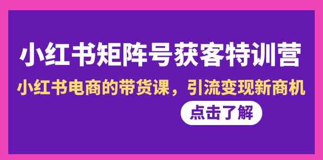 （8909期）小红书-矩阵号获客特训营-第10期，小红书电商的带货课，引流变现新商机-枫客网创