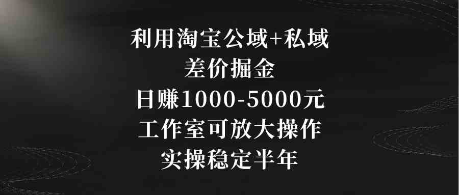 （8952期）利用淘宝公域+私域差价掘金，日赚1000-5000元，工作室可放大操作，实操…-枫客网创