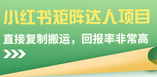 （9019期）小红书矩阵达人项目，直接复制搬运，回报率非常高-枫客网创