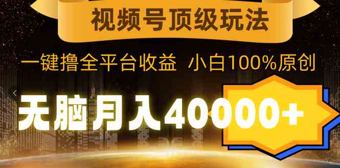 （9281期）视频号顶级玩法，无脑月入40000+，一键撸全平台收益，纯小白也能100%原创-枫客网创