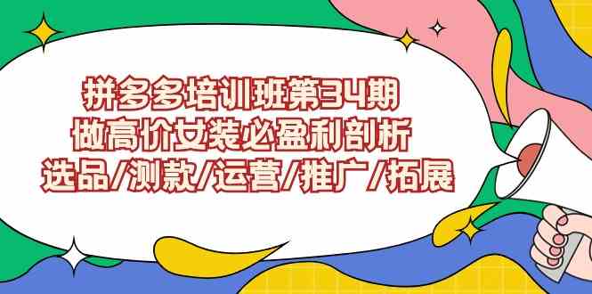 （9333期）拼多多培训班第34期：做高价女装必盈利剖析  选品/测款/运营/推广/拓展-枫客网创