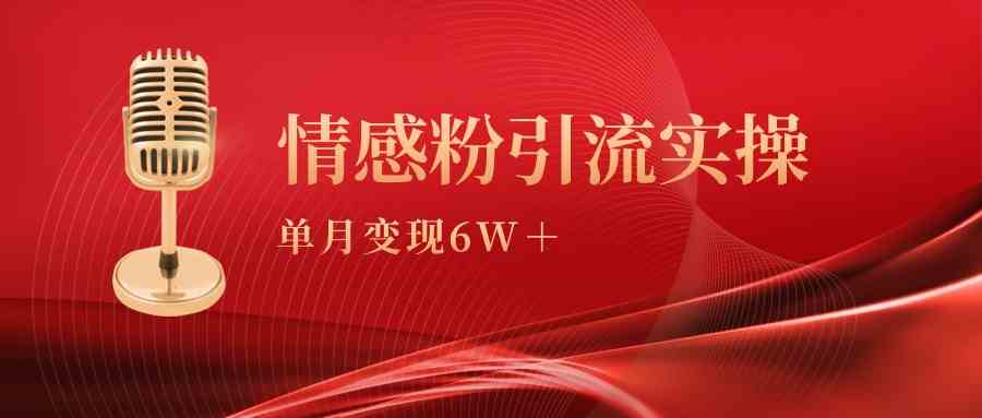 （9473期）单月变现6w+，情感粉引流变现实操课-枫客网创