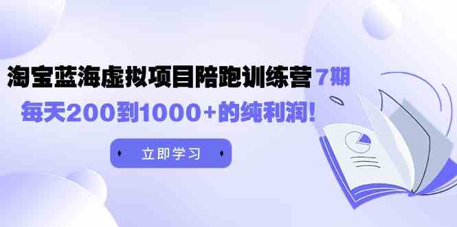 （9541期）黄岛主《淘宝蓝海虚拟项目陪跑训练营7期》每天200到1000+的纯利润-枫客网创