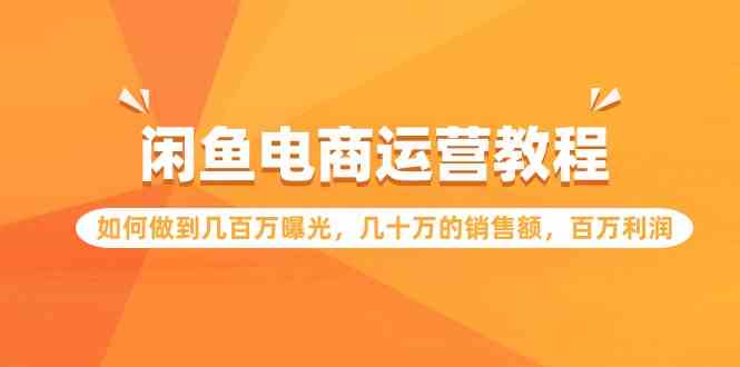 （9560期）闲鱼电商运营教程：如何做到几百万曝光，几十万的销售额，百万利润.-枫客网创