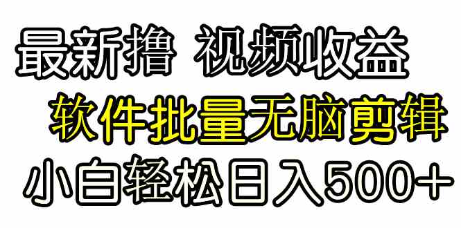 （9569期）发视频撸收益，软件无脑批量剪辑，第一天发第二天就有钱-枫客网创