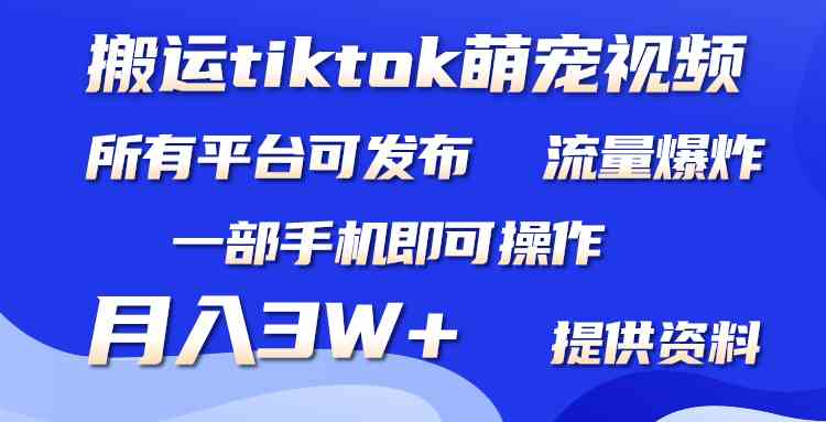 （9618期）搬运Tiktok萌宠类视频，一部手机即可。所有短视频平台均可操作，月入3W+-枫客网创