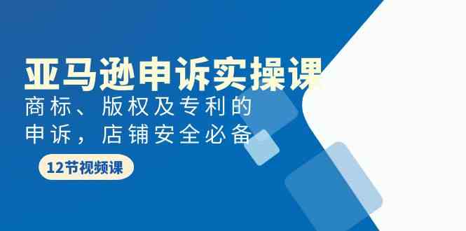 （9754期）亚马逊-申诉实战课，​商标、版权及专利的申诉，店铺安全必备-枫客网创