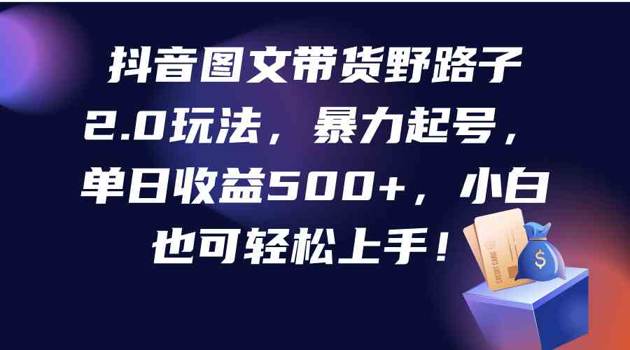 （9790期）抖音图文带货野路子2.0玩法，暴力起号，单日收益500+，小白也可轻松上手！-枫客网创