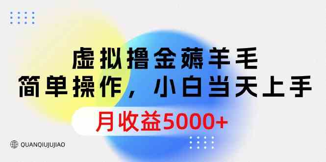 （9864期）虚拟撸金薅羊毛，简单操作，小白当天上手，月收益5000+-枫客网创