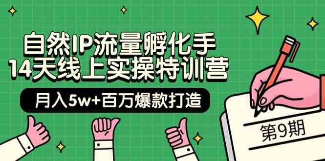 （9881期）自然IP流量孵化手 14天线上实操特训营【第9期】月入5w+百万爆款打造 (74节)-枫客网创