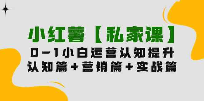 （9910期）小红薯【私家课】0-1玩赚小红书内容营销，认知篇+营销篇+实战篇（11节课）-枫客网创