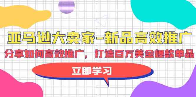 （9945期）亚马逊 大卖家-新品高效推广，分享如何高效推广，打造百万美金爆款单品-枫客网创