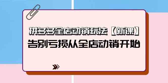 （9974期）拼多多全店动销玩法【新课】，告别亏损从全店动销开始（4节视频课）-枫客网创