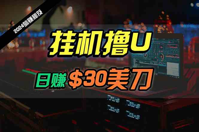 （10013期）日赚30美刀，2024最新海外挂机撸U内部项目，全程无人值守，可批量放大-枫客网创