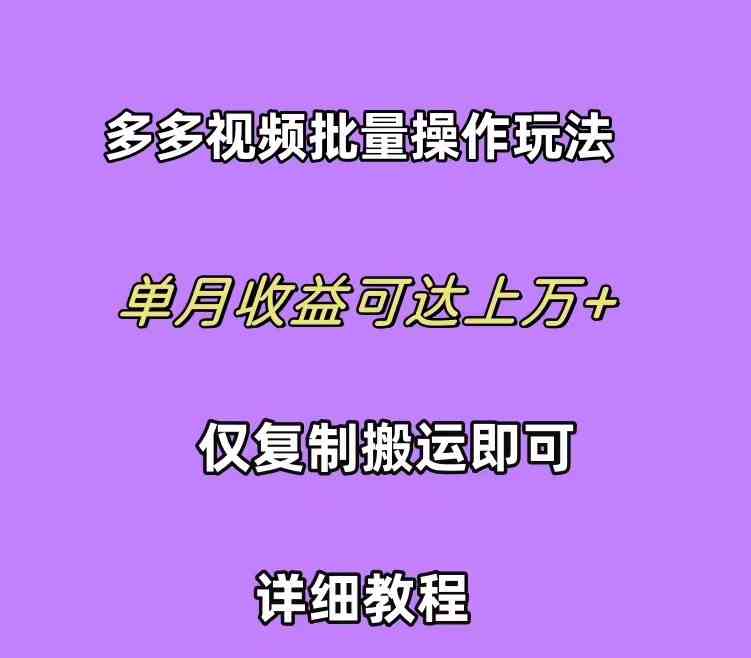 （10029期）拼多多视频带货快速过爆款选品教程 每天轻轻松松赚取三位数佣金 小白必…-枫客网创