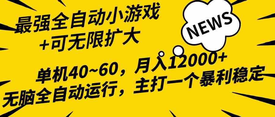 （10046期）2024最新全网独家小游戏全自动，单机40~60,稳定躺赚，小白都能月入过万-枫客网创