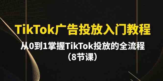 （10085期）TikTok广告投放入门教程，从0到1掌握TikTok投放的全流程（8节课）-枫客网创