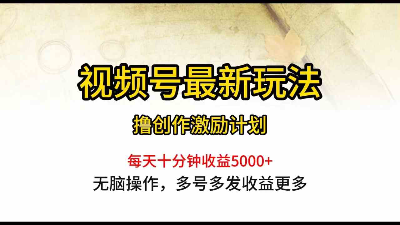 （10087期）视频号最新玩法，每日一小时月入5000+-枫客网创