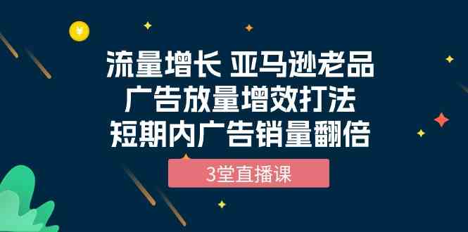 （10112期）流量增长 亚马逊老品广告放量增效打法，短期内广告销量翻倍（3堂直播课）-枫客网创