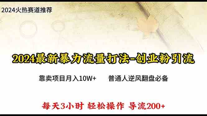 （10151期）2024年最新暴力流量打法，每日导入300+，靠卖项目月入10W+-枫客网创