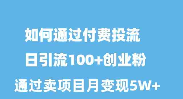 （10189期）如何通过付费投流日引流100+创业粉月变现5W+-枫客网创