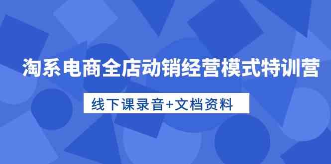 （10192期）淘系电商全店动销经营模式特训营，线下课录音+文档资料-枫客网创