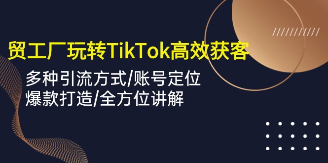 （10302期）外贸工厂玩转TikTok高效获客，多种引流方式/账号定位/爆款打造/全方位讲解-枫客网创