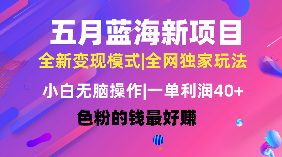 （10477期）五月蓝海项目全新玩法，小白无脑操作，一天几分钟，矩阵操作，月入4万+-枫客网创