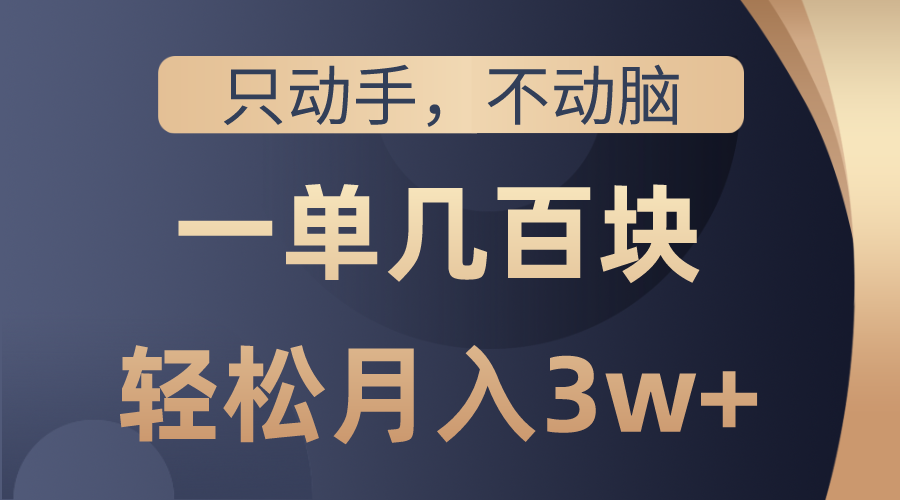 （10561期）只动手不动脑，一单几百块，轻松月入3w+，看完就能直接操作，详细教程-枫客网创