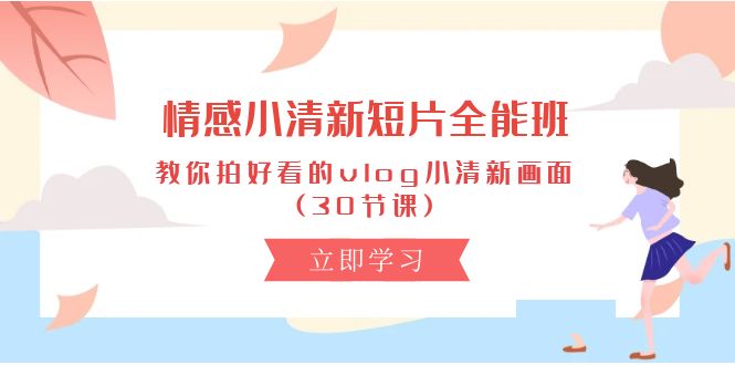 （10567期）情感 小清新短片-全能班，教你拍好看的vlog小清新画面 (30节课)-枫客网创