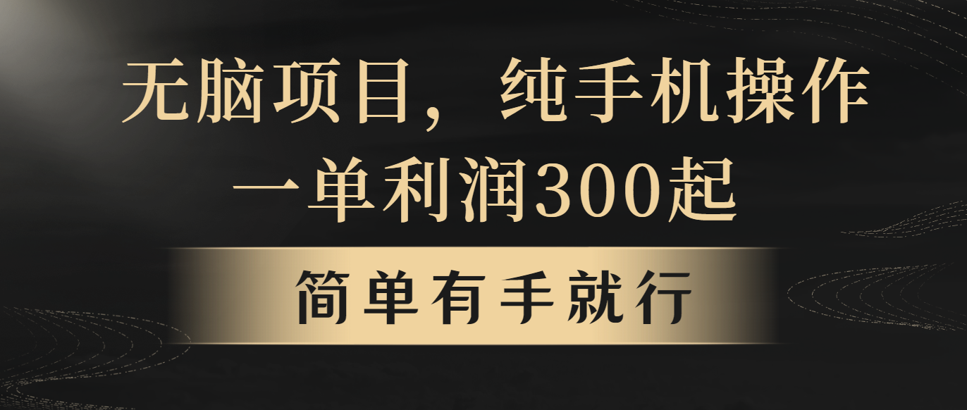 （10589期）无脑项目，一单几百块，轻松月入5w+，看完就能直接操作-枫客网创