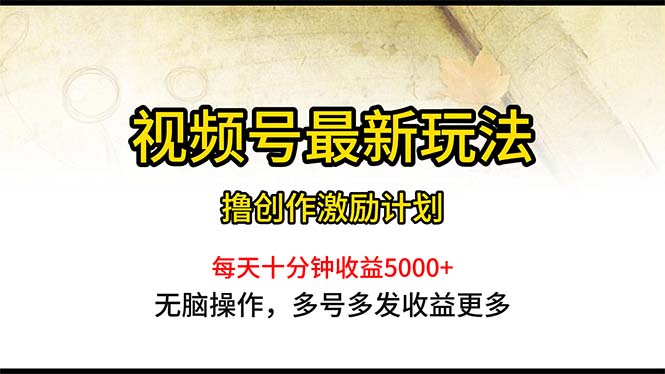 （10591期）视频号最新玩法，每日一小时月入5000+-枫客网创