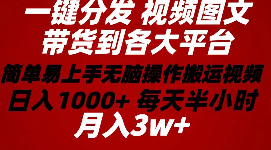 （10667期）2024年 一键分发带货图文视频  简单易上手 无脑赚收益 每天半小时日入1…-枫客网创