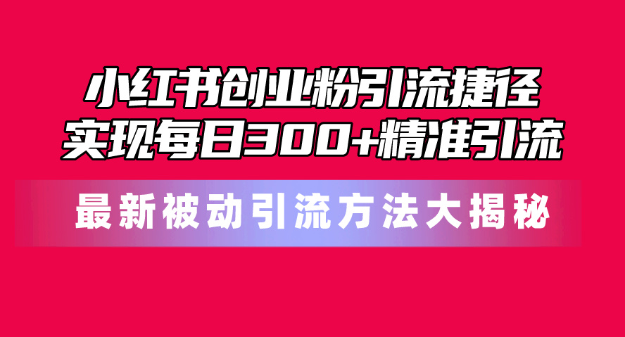 （10692期）小红书创业粉引流捷径！最新被动引流方法大揭秘，实现每日300+精准引流-枫客网创