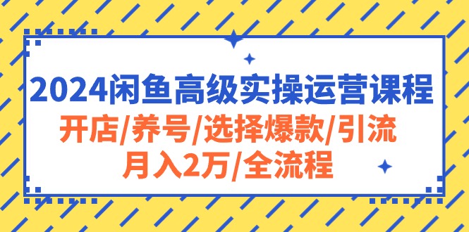 （10711期）2024闲鱼高级实操运营课程：开店/养号/选择爆款/引流/月入2万/全流程-枫客网创