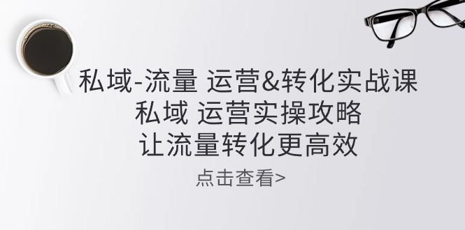 （10739期）私域-流量 运营&转化实操课：私域 运营实操攻略 让流量转化更高效-枫客网创