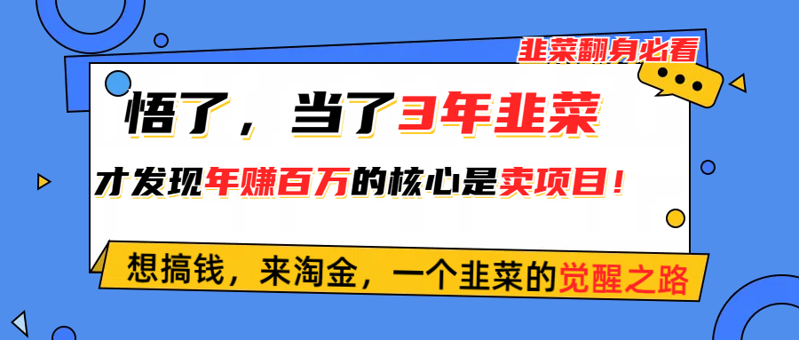 （10759期）悟了，当了3年韭菜，才发现网赚圈年赚100万的核心是卖项目，含泪分享！-枫客网创