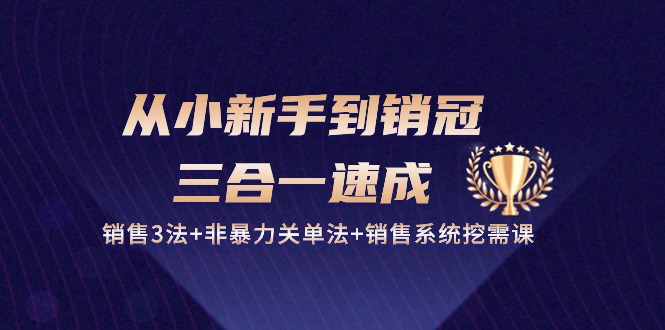 （10799期）从小新手到销冠 三合一速成：销售3法+非暴力关单法+销售系统挖需课 (27节)-枫客网创