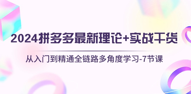 （10816期）2024拼多多 最新理论+实战干货，从入门到精通全链路多角度学习-7节课-枫客网创