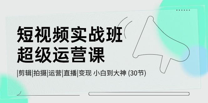 （10836期）短视频实战班-超级运营课，|剪辑|拍摄|运营|直播|变现 小白到大神 (30节)-枫客网创