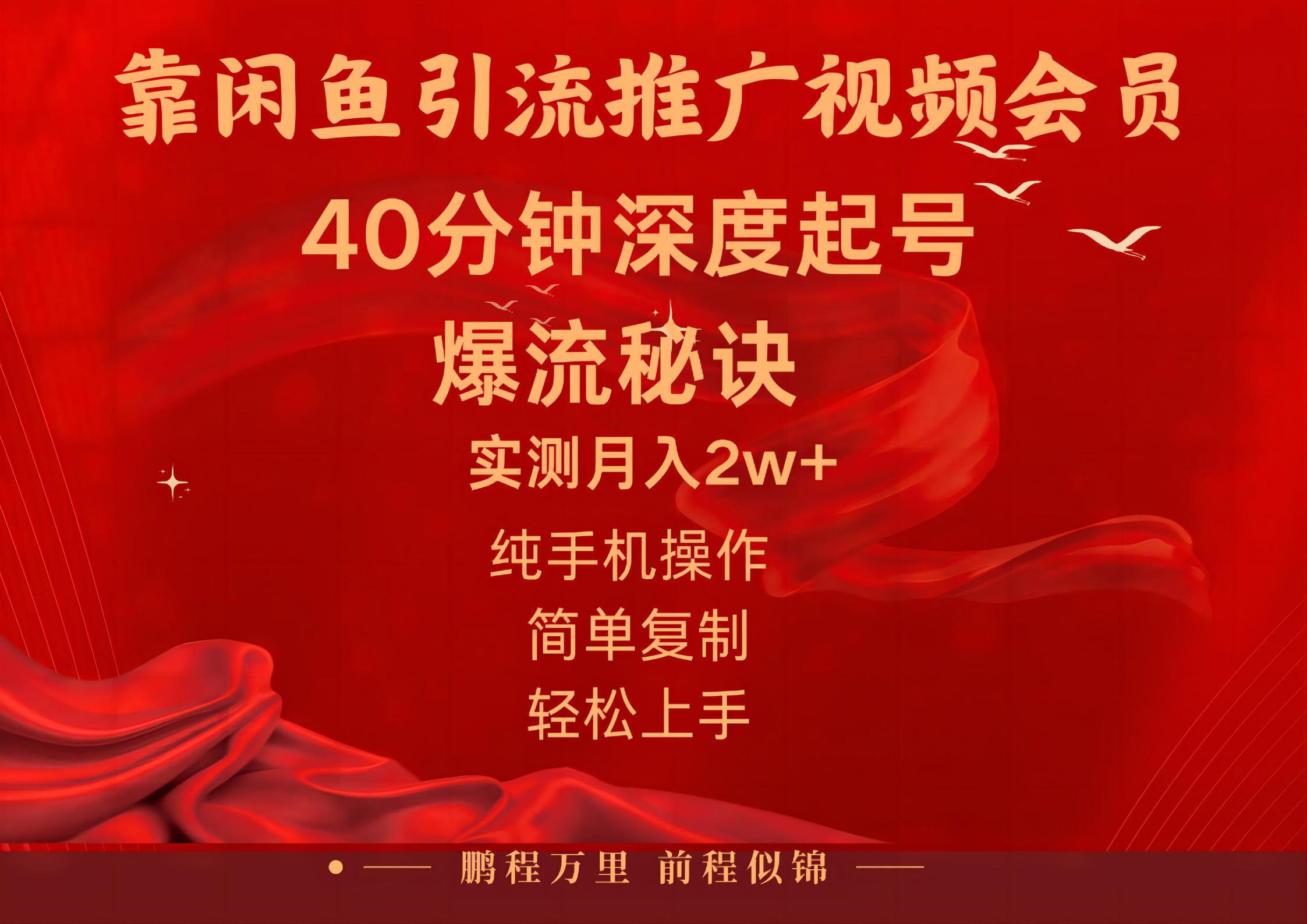 （10895期）闲鱼暴力引流推广视频会员，能做到日入2W+，操作简单-枫客网创