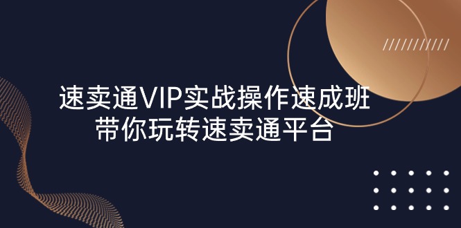 （10935期）速卖通 VIP实战操作-速成班，带你玩转速卖通平台（23节）-枫客网创