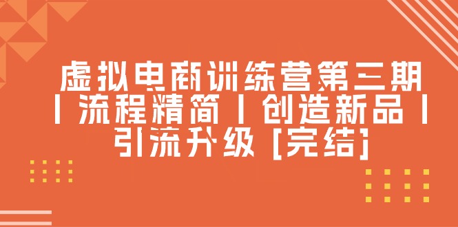 （10960期）虚拟电商训练营第三期丨流程精简丨创造新品丨引流升级 [完结]-枫客网创