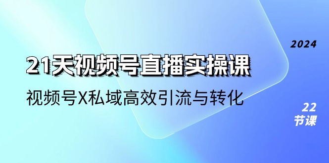 （10966期）21天-视频号直播实操课，视频号X私域高效引流与转化（22节课）-枫客网创