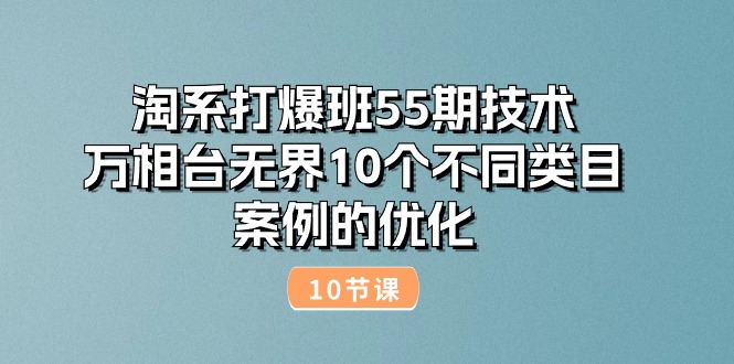 （10996期）淘系打爆班55期技术：万相台无界10个不同类目案例的优化（10节）-枫客网创