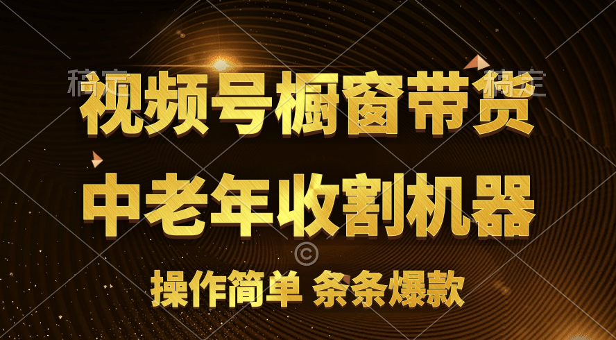 （11009期）[你的孩子成功取得高位]视频号最火爆赛道，橱窗带货，流量分成计划，条…-枫客网创