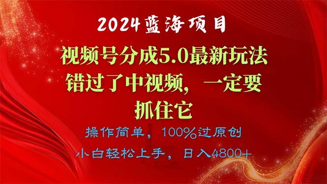 （11032期）2024蓝海项目，视频号分成计划5.0最新玩法，错过了中视频，一定要抓住…-枫客网创