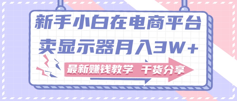 （11053期）新手小白如何做到在电商平台卖显示器月入3W+，最新赚钱教学干货分享-枫客网创