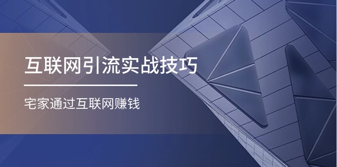 （11108期）互联网引流实操技巧(适合微商，吸引宝妈)，宅家通过互联网赚钱（17节）-枫客网创