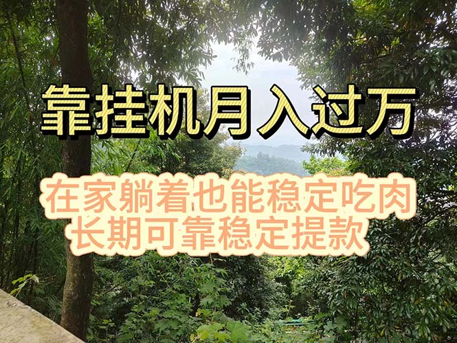 （11144期）挂机掘金，日入1000+，躺着也能吃肉，适合宝爸宝妈学生党工作室，电脑…-枫客网创